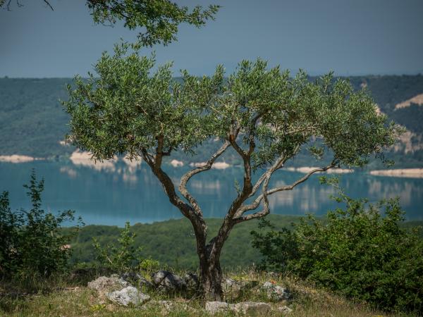 Vue de la maison de vacances [été]