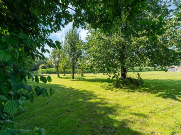 Garten [Sommer]