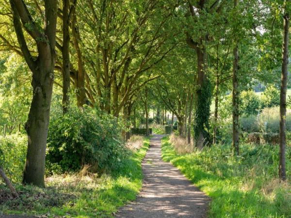 Direkte Umgebung [Sommer] (<1 km)