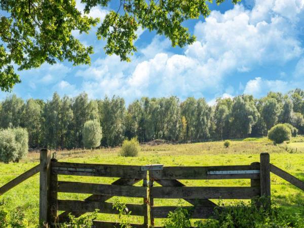 Direkte Umgebung [Sommer] (<1 km)