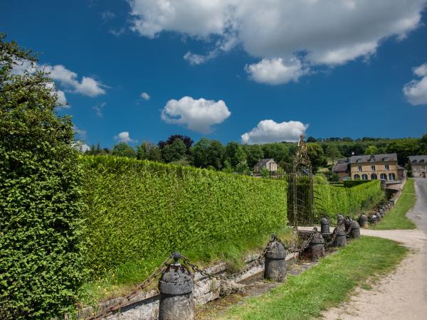 Directe omgeving [zomer] (<1 km)