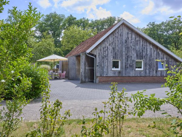 Außenseite Ferienhaus [Sommer]