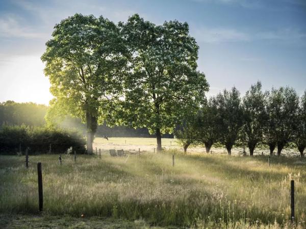 Directe omgeving [zomer] (<1 km)