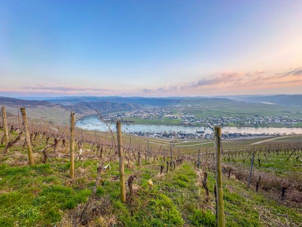 Dans la région [été] (>5 km)