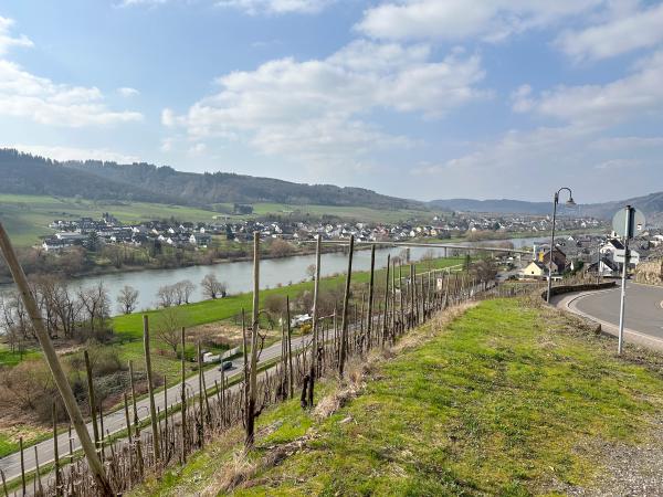 Dans la région [été] (>5 km)