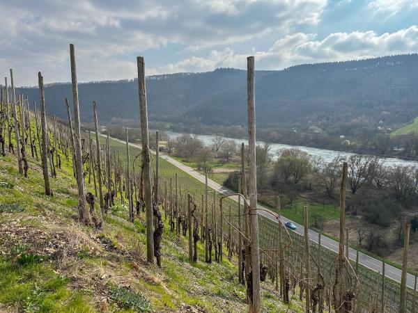 Dans la région [été] (>5 km)