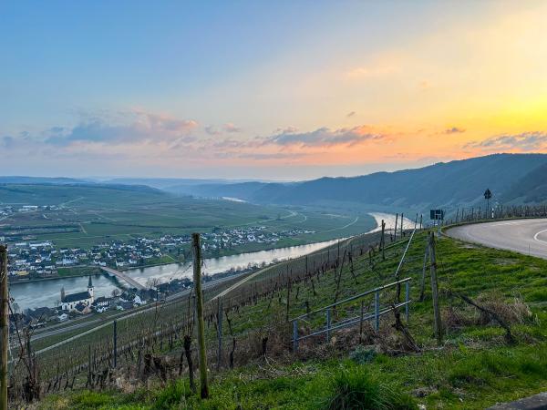 Dans la région [été] (>5 km)