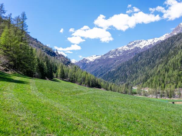 A proximité directe [été] (<1 km)