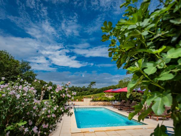 Piscine maison de vacances