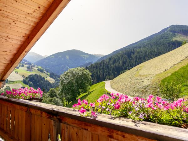 Vue de la maison de vacances [été]