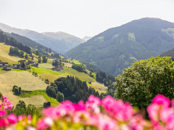 Vue de la maison de vacances [été]