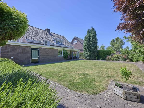Tuin [zomer]