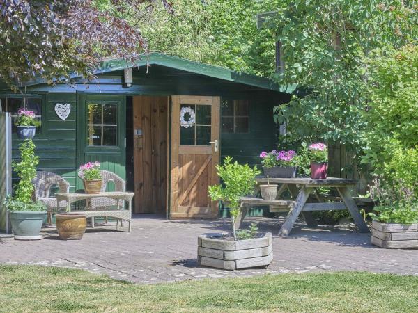 Tuin [zomer]