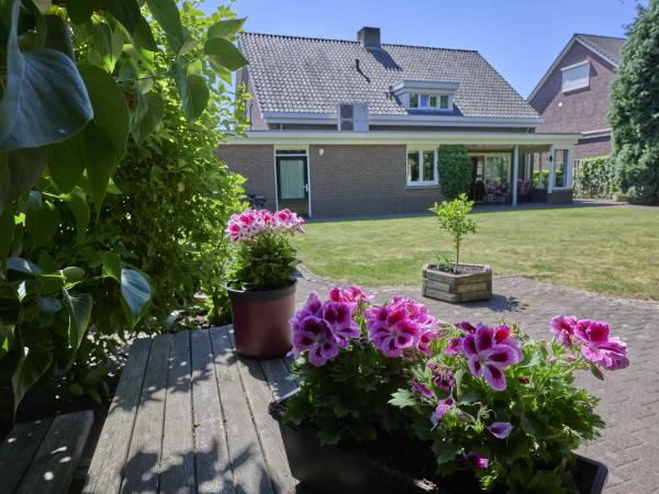 Tuin [zomer]