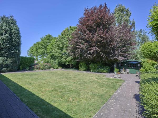 Tuin [zomer]