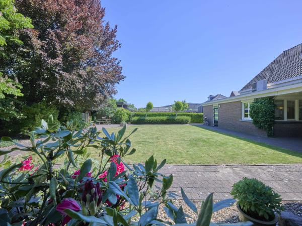 Tuin [zomer]