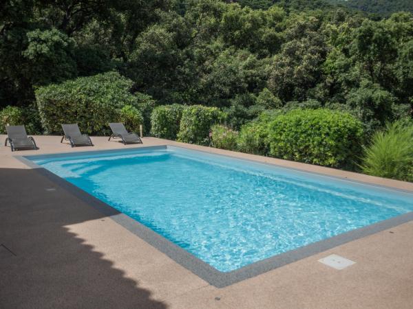 Holiday Home Swimming Pool