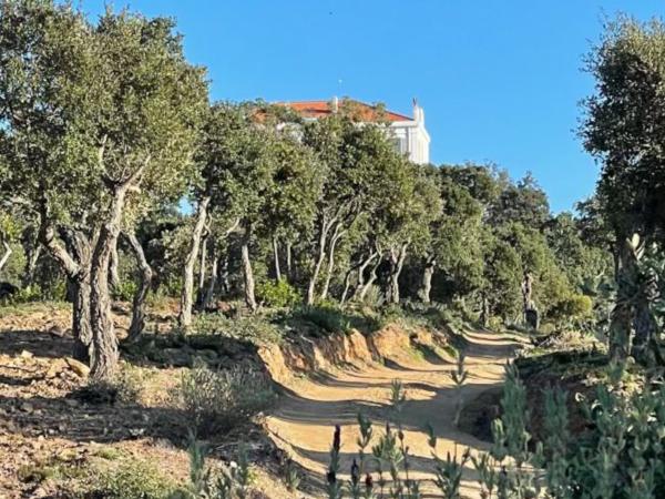 Dans les environs [été] (1-5 km)