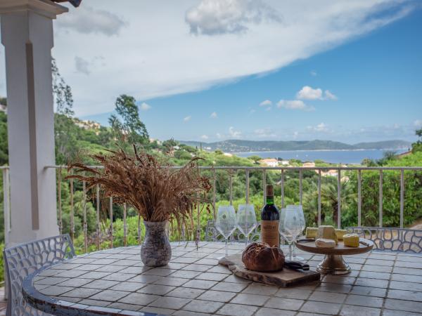 Vue de la maison de vacances [été]