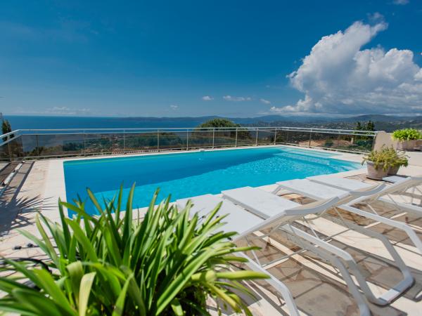 Schwimmbad des Ferienhauses