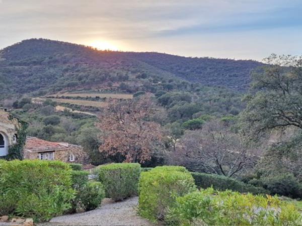 Vue de la maison de vacances [été]