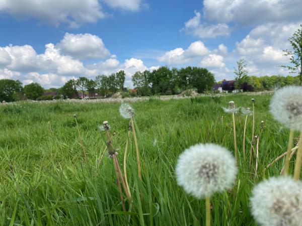 Dans les environs [été] (1-5 km)