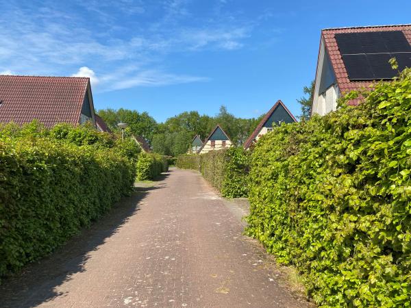 Directe omgeving [zomer] (<1 km)