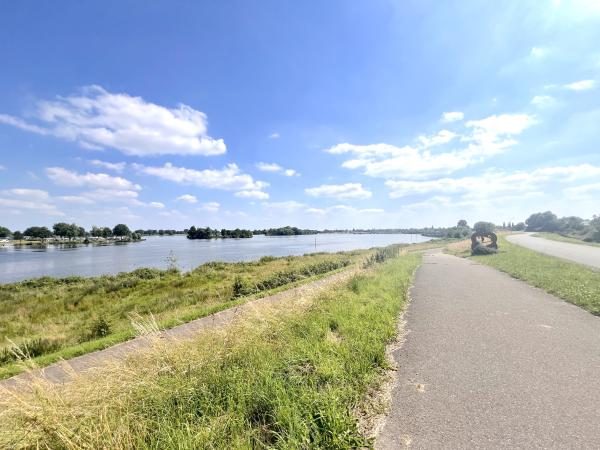 Directe omgeving [zomer] (<1 km)