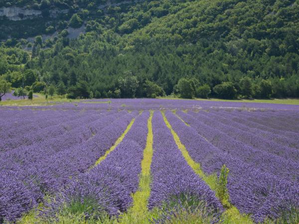 Dans les environs [été] (1-5 km)