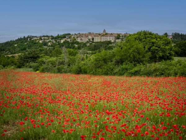 Directe omgeving [zomer] (<1 km)