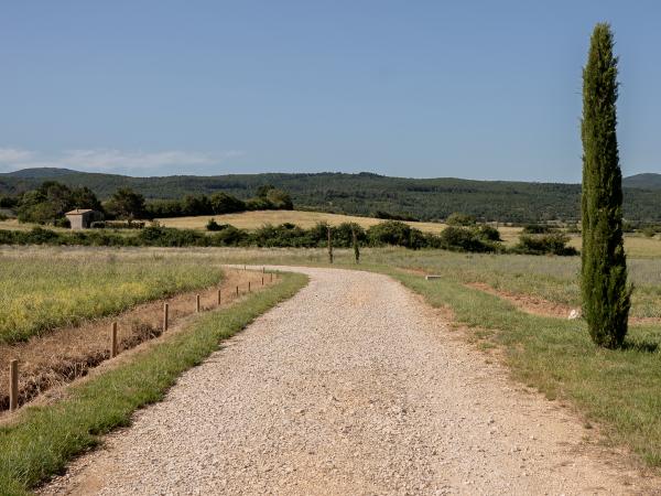 Vue de la maison de vacances [été]