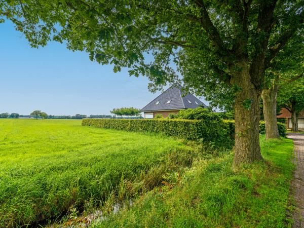 Exterieur vakantiehuis [zomer]