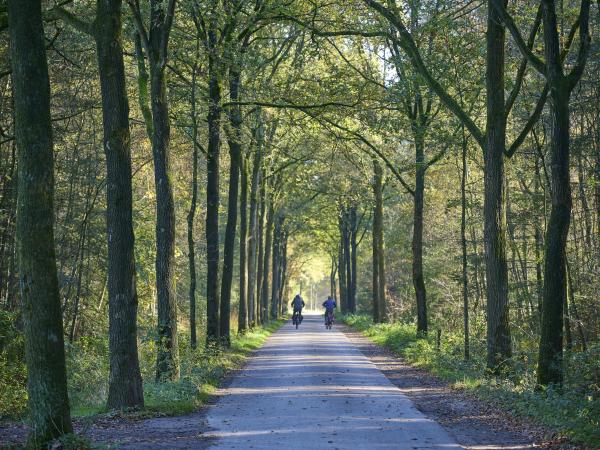 Directe omgeving [zomer] (<1 km)