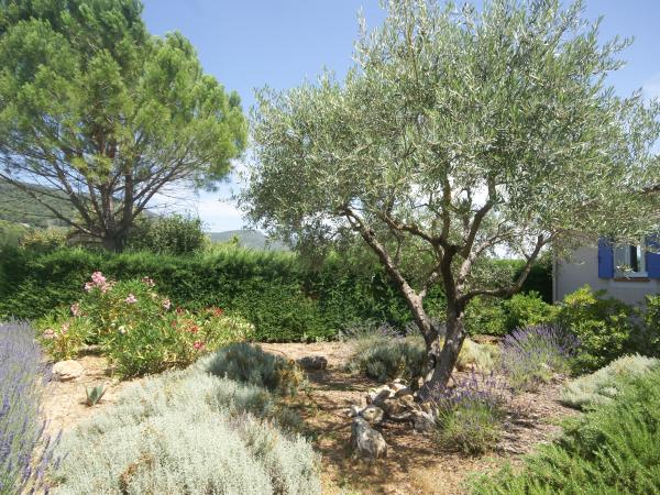 Garten [Sommer]