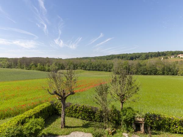 Aussicht vom Ferienhaus [Sommer]