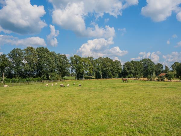 Vue de la maison de vacances [été]