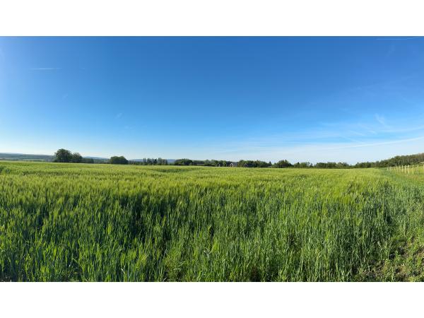 A proximité directe [été] (<1 km)