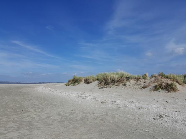 Umgebung [Sommer] (1-5 km)