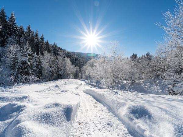 Vue de la maison de vacances [hiver]