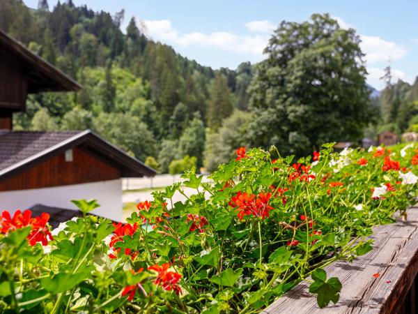 Aussicht vom Ferienhaus [Sommer]