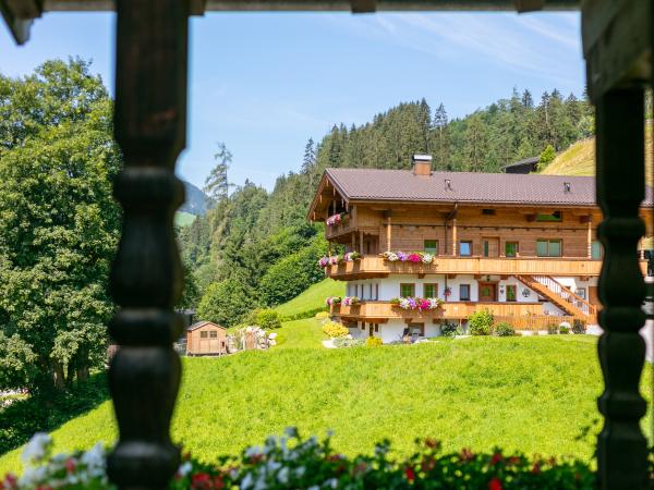 Aussicht vom Ferienhaus [Sommer]