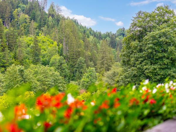 Aussicht vom Ferienhaus [Sommer]