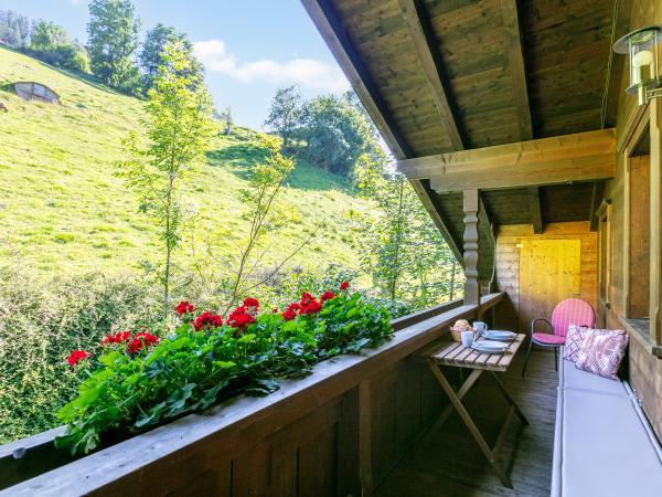 Aussicht vom Ferienhaus [Sommer]