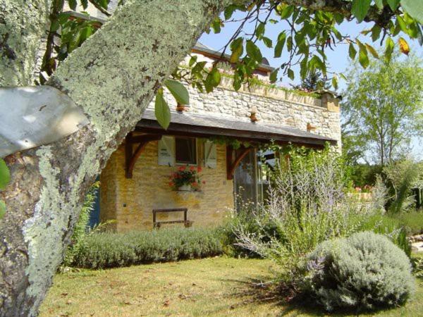 Extérieur maison de vacances [été]