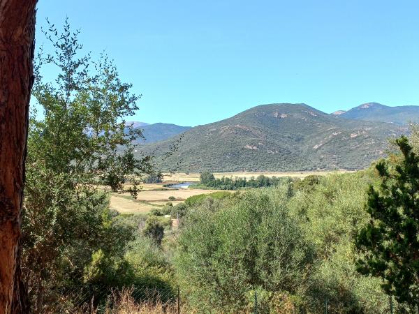 Vue de la maison de vacances [été]