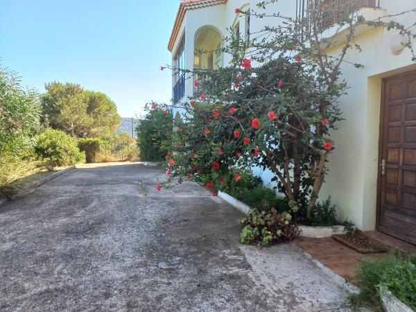 Extérieur maison de vacances [été]