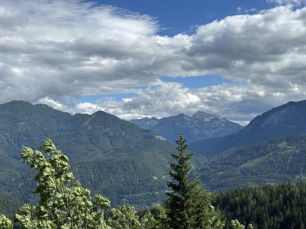 Aussicht vom Ferienhaus [Sommer]