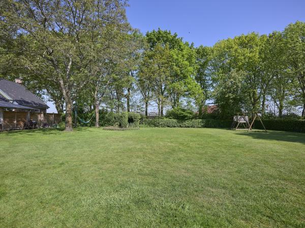 Garden [summer]