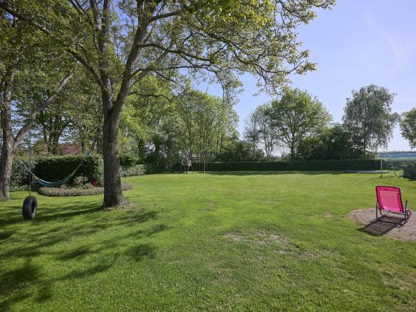 Garden [summer]