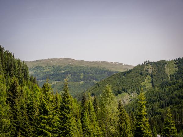 Aussicht vom Ferienhaus [Sommer]